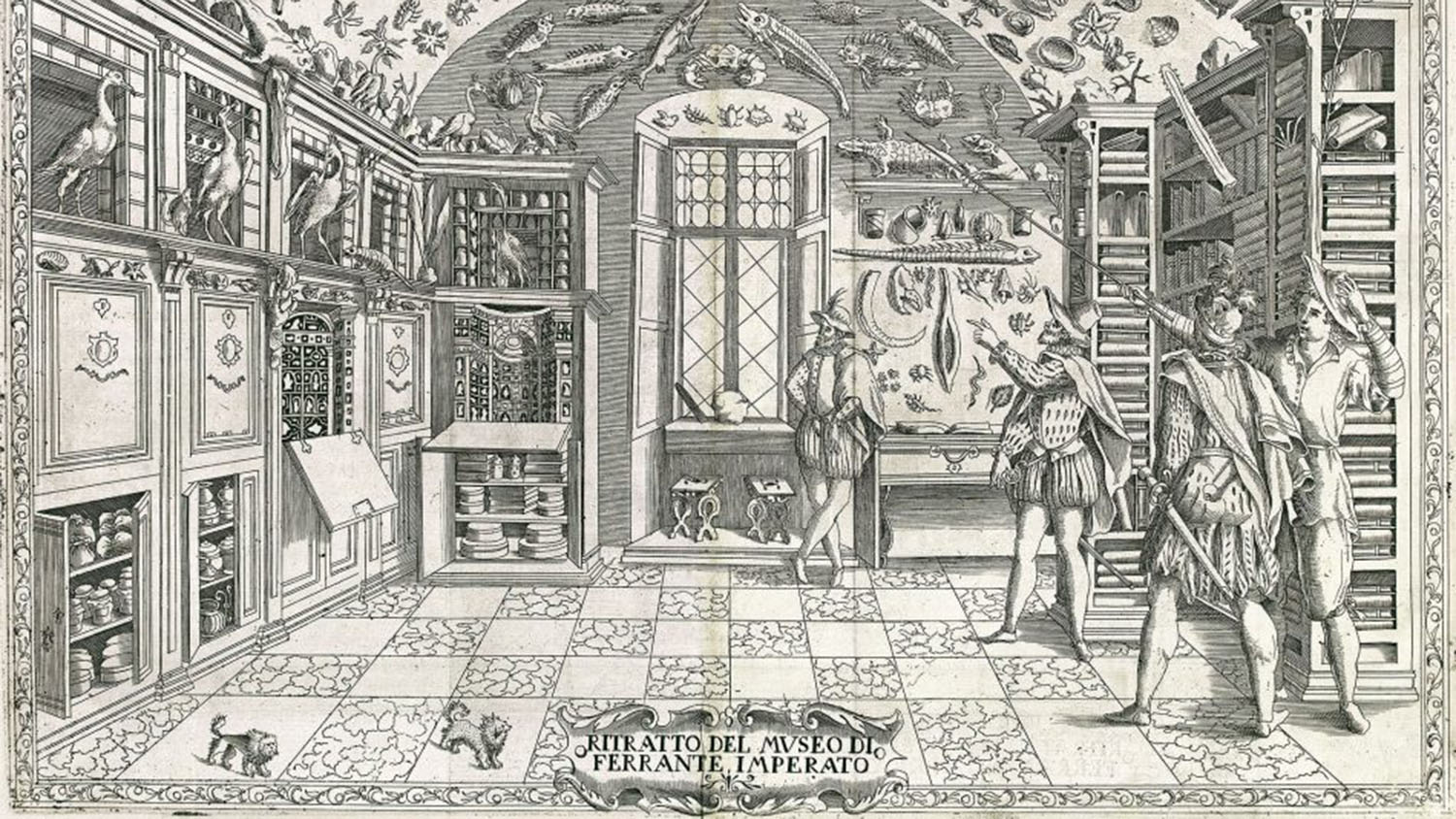 Engraving from Ferrante Imperto’s Dell’Historia Naturale (Naples, 1599)