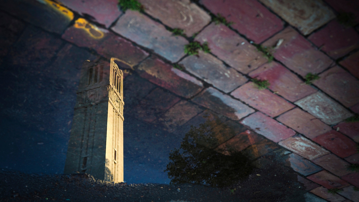 belltower reflected in rain